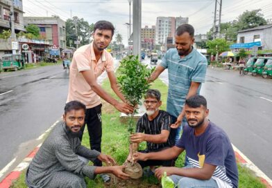 পশ্চিম মজমপুর যুবসমাজের উদ্যোগে বৃক্ষ রোপন অভিযান