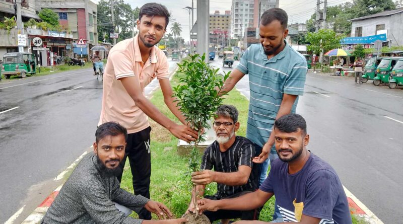 পশ্চিম মজমপুর যুবসমাজের উদ্যোগে বৃক্ষ রোপন অভিযান